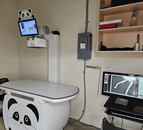 Intercity Animal Emergency Clinic