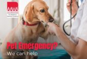 Intercity Animal Emergency Clinic