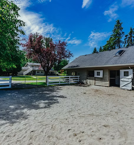 Liberty Farm – Dog & Horse Ranch