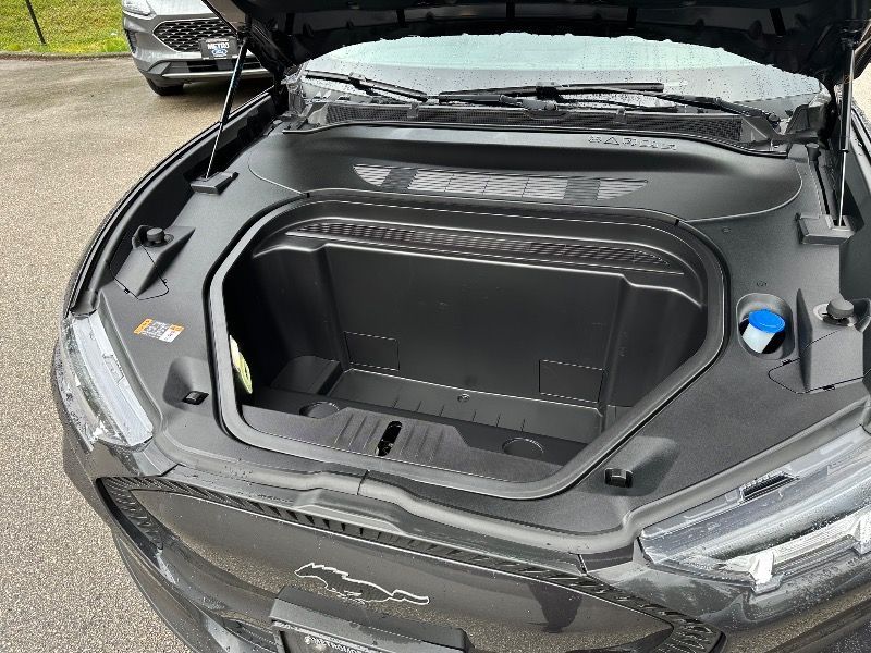 2021 Ford Mustang Mach-E Select COMFORT & APPEARANCE PACKAGES