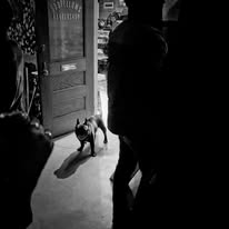 Oddfellows Barbershop