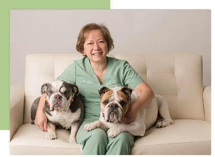 The Barn Door Veterinary Care