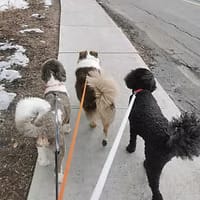 0572ed85-db12-4090-8b8a-a625d35ba52d