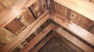 attic-300×169-1