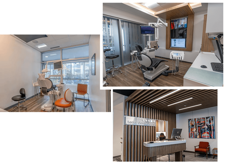 Terra Dental Care