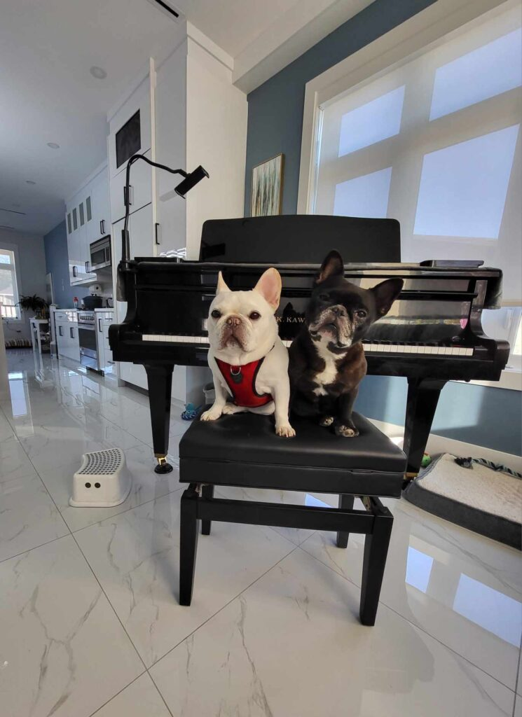 Little Angel’s Dogs