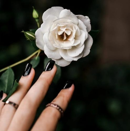 Nail Palette Beauty Bar