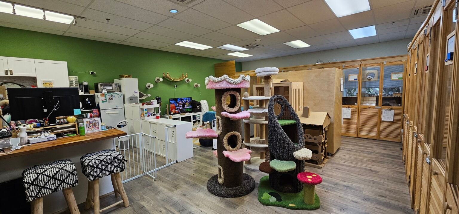 Purrfect Cat Boarding