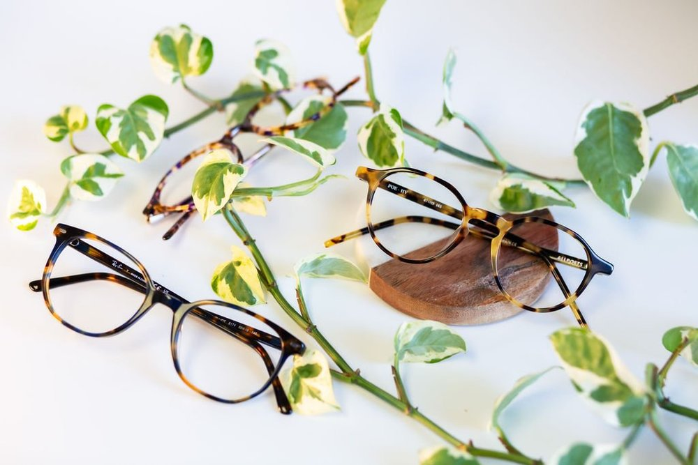 False Creek Eye Care Optometry