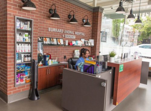 Burrard Animal Hospital + Emergency