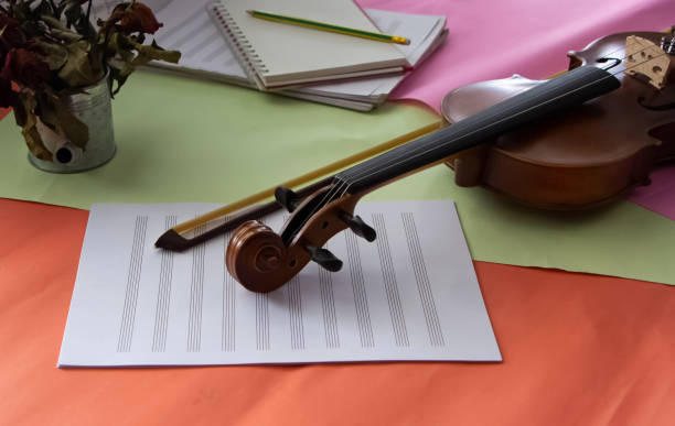 Cecilia Music Academy