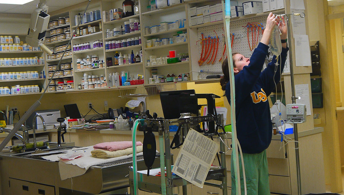 Fleetwood Veterinary Clinic