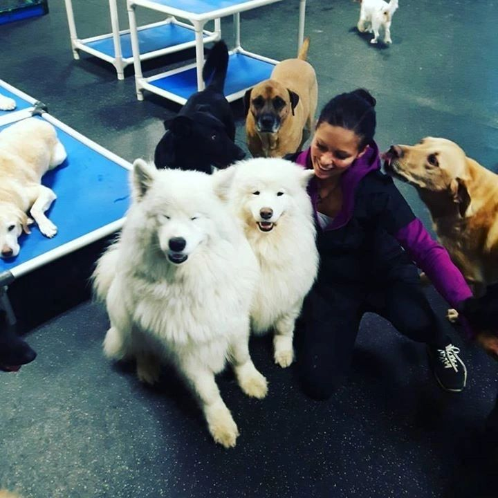 Sublime Cat N’ Canine Ltd.