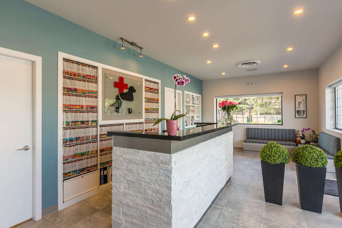 Steveston Veterinary Hospital