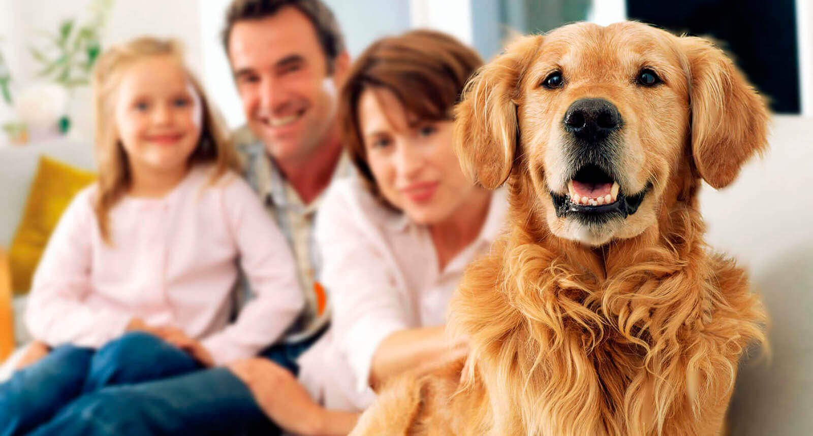 Steveston Veterinary Hospital