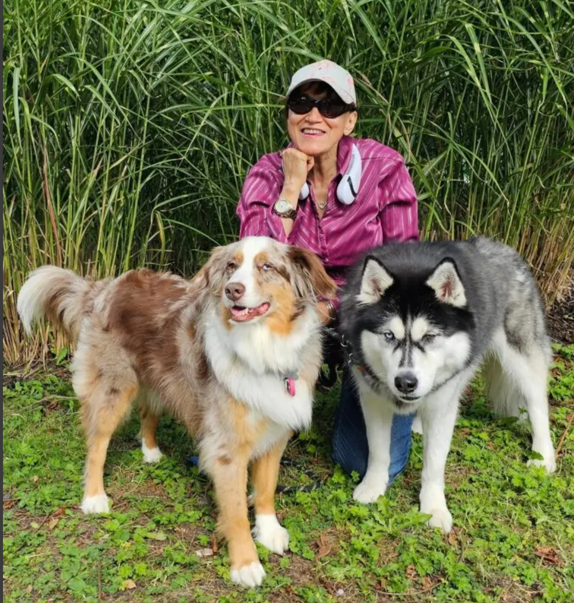 Marpole Dog Walking & Boarding Service