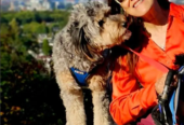 Marpole Dog Walking & Boarding Service