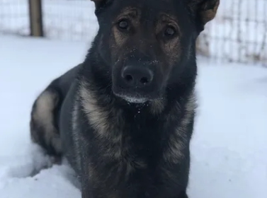 Annotation-2025-10-27-112753