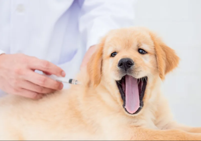 Annotation-2025-10-30-140359