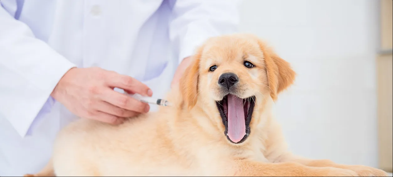 McGilvray Veterinary Hospital