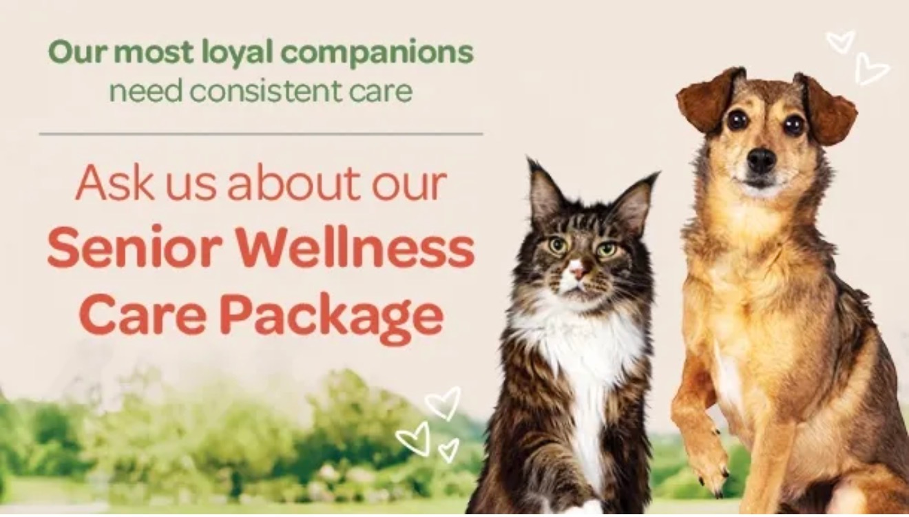 Guildford Animal Hospital