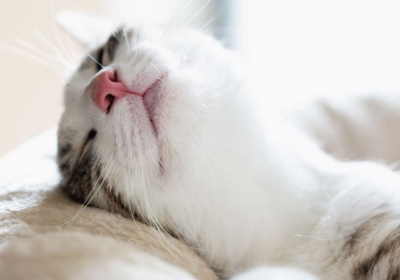 Screenshot-2025-10-19-111317