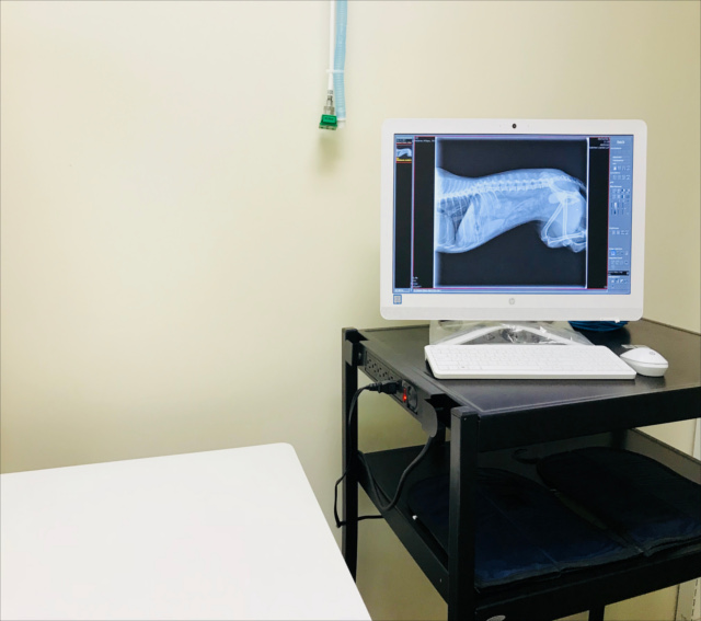 Bonnie Doon Veterinary Clinic