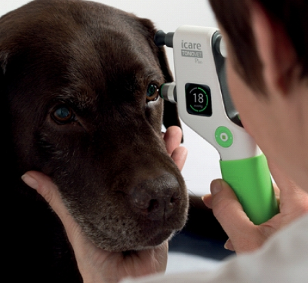 Marine and Fraser Veterinary Clinic