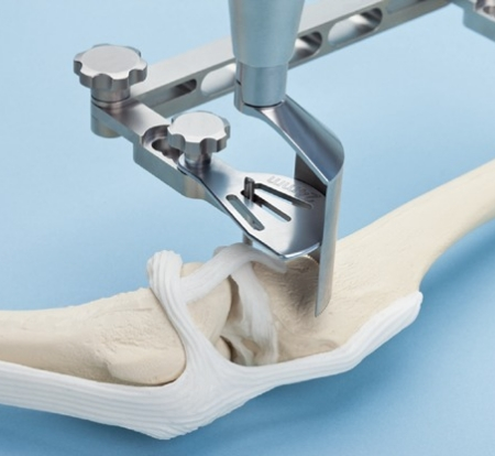 Marine and Fraser Veterinary Clinic