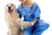 Dixie Animal Hospital Mississauga