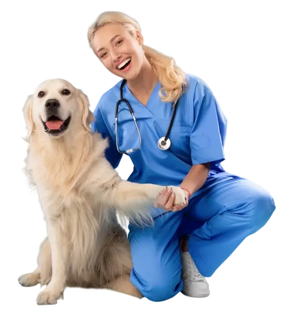 Dixie Animal Hospital Mississauga