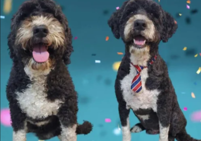 Annotation-2025-11-05-154447