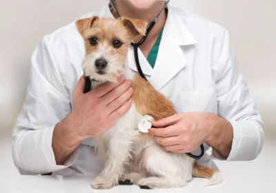 Annotation-2025-11-07-092417