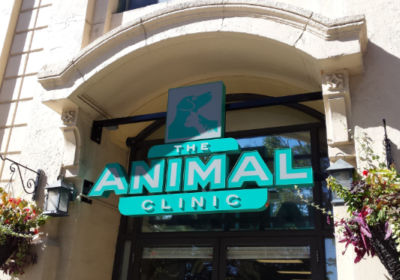 Annotation-2025-11-14-113115