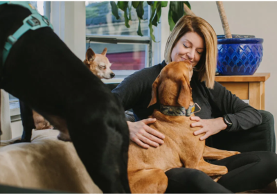 Annotation-2025-11-17-092405