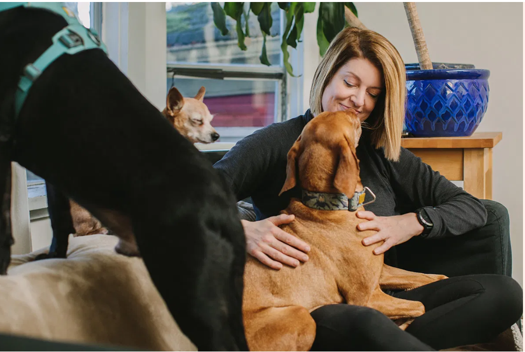 Noelle’s Pet Love Dog Daycare, Training, Boarding & Grooming