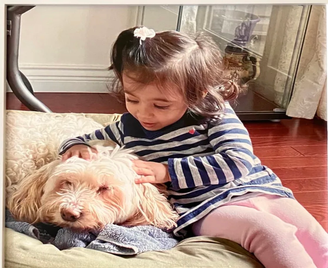 Doggie Care Services