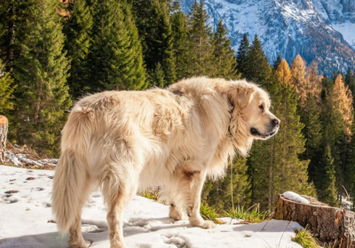 Screenshot-2025-11-04-162822