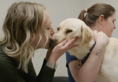 Screenshot-2025-11-04-163153