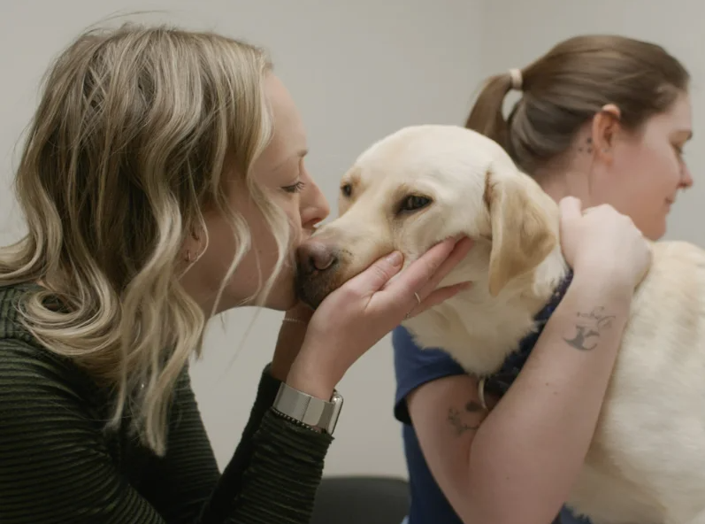 Boundary Bay Veterinary Specialty Hospital