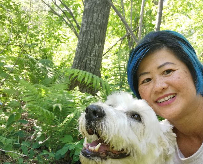 The Dog Nanny Edmonton: SMALL/MEDIUM Dog boarding and Daycare