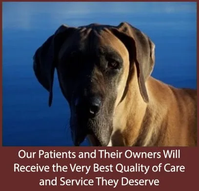 Toronto Central Animal Clinic