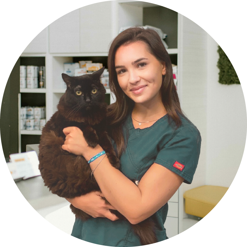 Hastings Veterinary Hospital