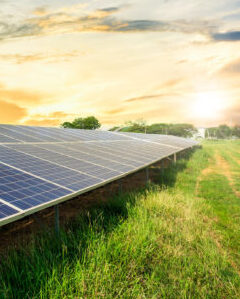 Milani Electric & Solar