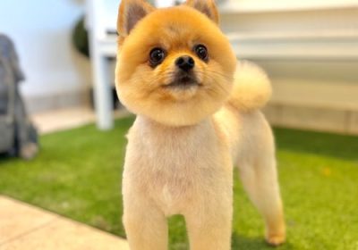 68adfad3af1ced2fbacb4731_IMG_6244-p-500