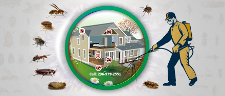 Apna Pest Control Abbotsford: Your Pest-Free Guarantee