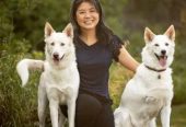 Edmonton Holistic Veterinary Clinic
