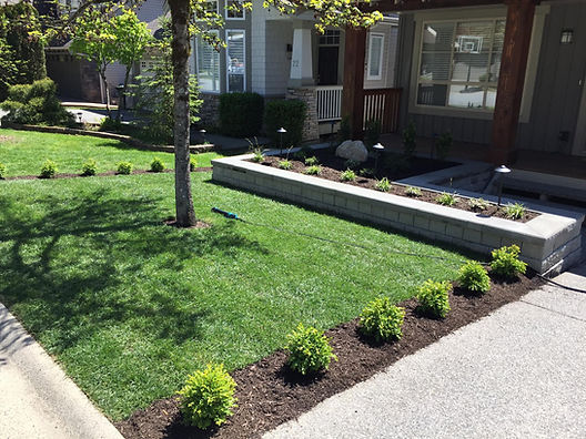 1st Impressions Home Services