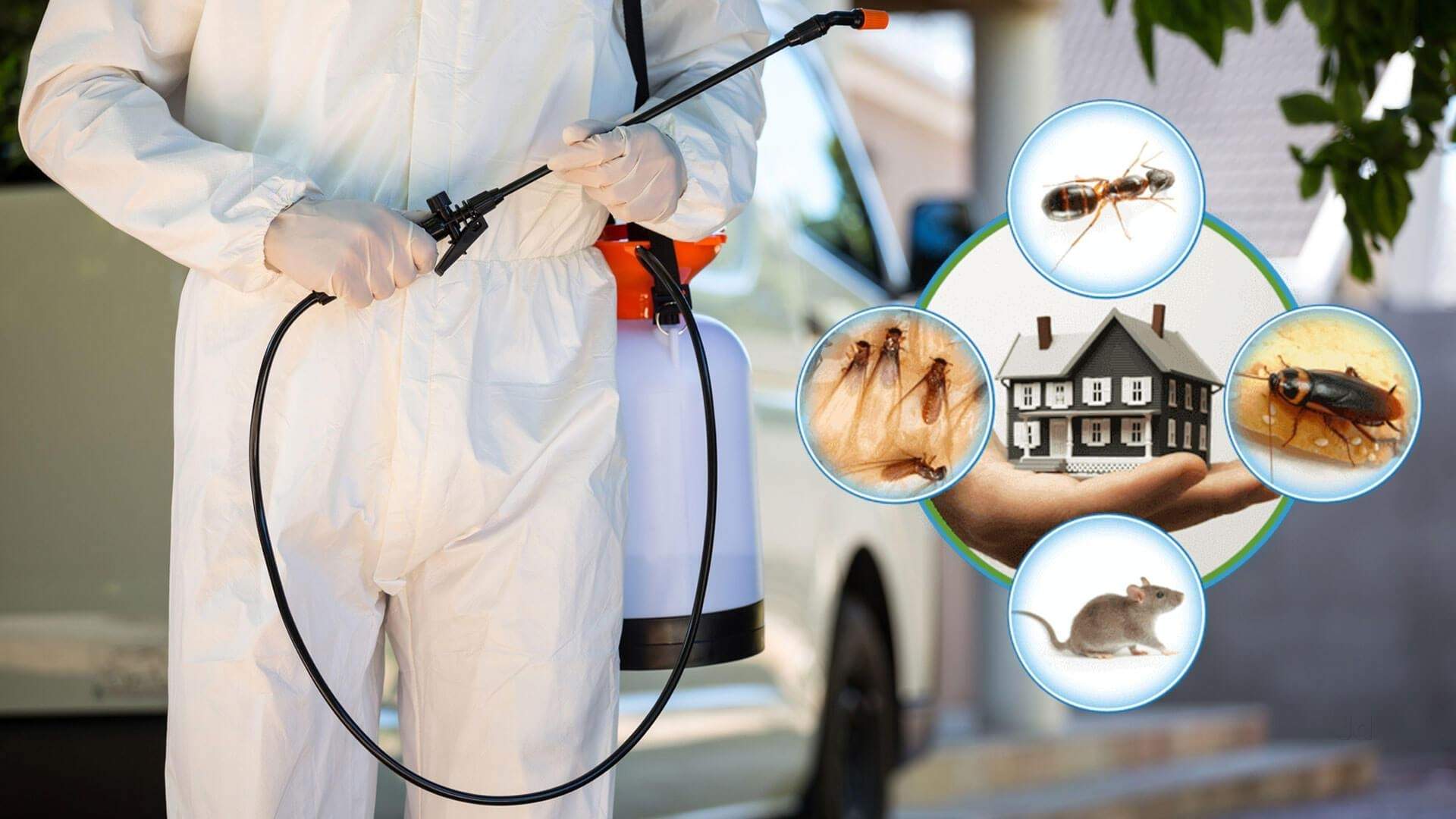 Pest Control Services Calgary