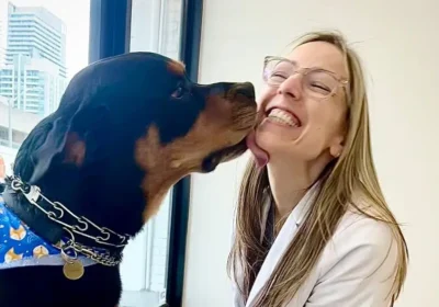 A-Rottweiler-dog-licks-the-face-of-a-person-wearing-a-white-lab-coat-and-glasses.jpg